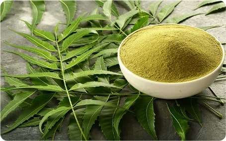 Neem