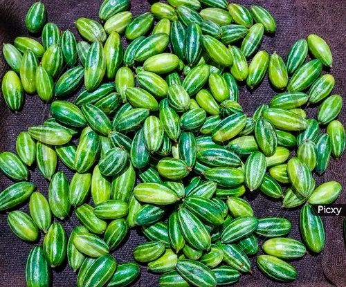 A Grade Fresh Green Parwal (Potol), Crate, 100 KG at best price in Beldanga