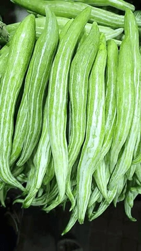 Fresh Green Snake Gourds White Stripes Stock Photo 2730566331 | Shutterstock