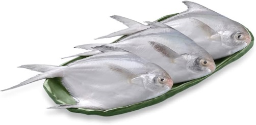 FreshToHome Silver Pomfret (200g to 300g) - Whole : Amazon.in: Grocery & Gourmet Foods