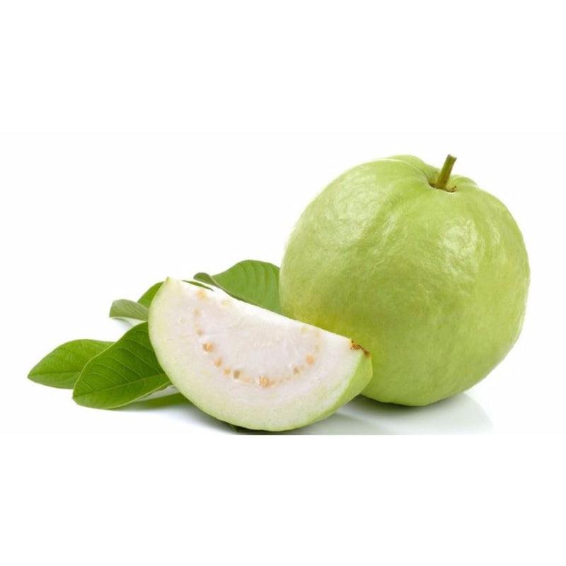 https://images.openai.com/static-rsc-4/6BnwD3kna86CPE5hxfYO3bYo3uqVc74WNAZu9z4dQCfvih5cmGq36kDznuCeWx9FmnhUH1G57INP_y_TogFyaREvVYWP3fOQPnbapgXf2HnQF3sQ208jklCz-pOLxY-zwnzJjxhrr7bJI7nIdLi_0VcSy3i275lfCXhq3oofM4wqVWZ-2kW4gUa_Q9qlrQlr?purpose=fullsize