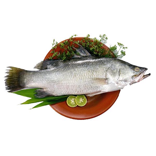 https://images.openai.com/static-rsc-4/cd-4CFRC-sGzfKPCD80WJdUtmbzcRbuVK2F_ytUkQeFXHM4xMtJuNL0KQkLcP_dYpQrCkbHGiaUf5YjaFGtFihAYPO1o2HVy9vbYNi1HkdJlZEAj0OC_DZIMD1-qemZ65iumdIz5CPJBNg7_dIe8UW7sxr7MQ9rNWWLsc9fcJIHMj0j0m-pBcaxD5tE5QDIU?purpose=fullsize