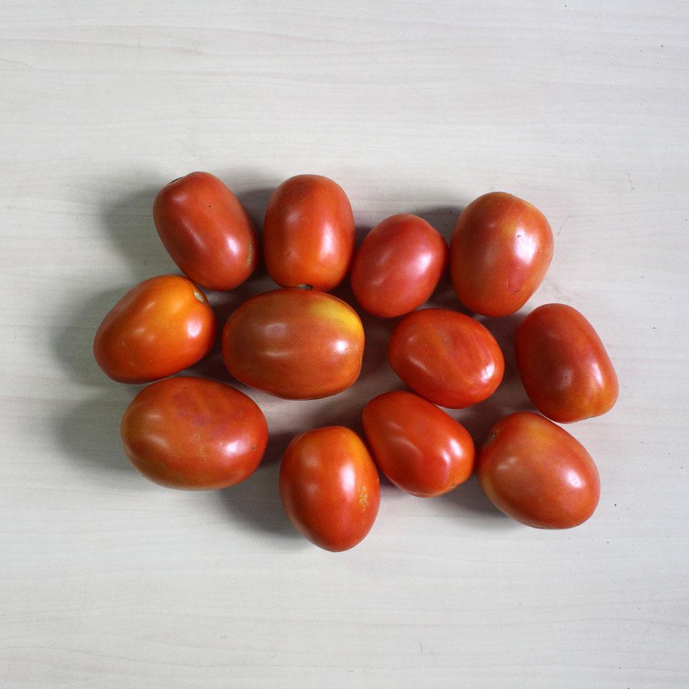 https://images.openai.com/static-rsc-4/dijCTXqJ7lGwdWF0B3H8WgbTU1VKVIoIvs56D7h9Siidbgcua-k7ehkEfKY22NvLZLybmtuPOKm7c624NTgKys-Bc7ZNdd7MiyjUADWcJIBOswd7CokXH1zN3JLqK9ftakKdGPVeZvJhBEmbmatzsY8usC0lRiW7BntUC-m55o1MMQoUs0eLdXMAi2EcK8-l?purpose=fullsize