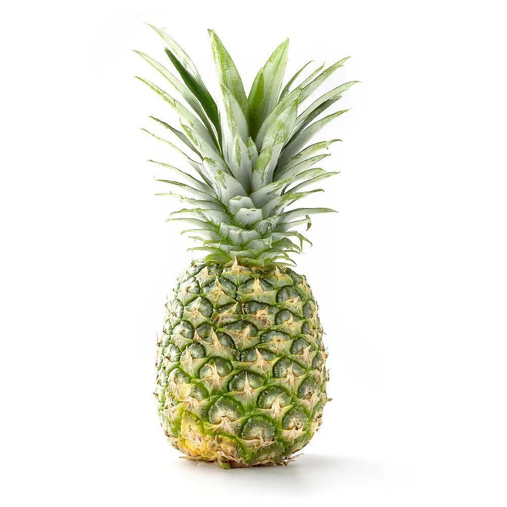 https://images.openai.com/static-rsc-4/-HwcLQ7K-27InnckptpindgQJD4KiqXfqR6Oj48LlY6O_5vKFYU2AvSmFCekaG19e1rl03Nd9TCK77pwt-Se04-d_EZ3_6IMKywKydnBzOpYb7fodj7jmFahabmf-rsvTe322EVbUFaVtGP_lw7D3nAFf9nbF3g_iaF_0p28EYVU4HbDtTrlVHqL92H_E0zh?purpose=fullsize