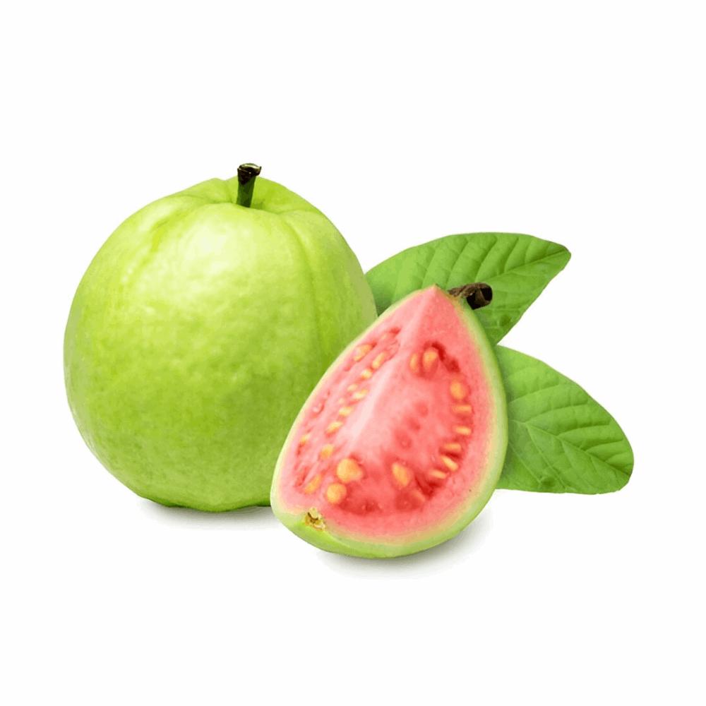https://images.openai.com/static-rsc-4/v7giC-G5qaaoRtNm0RYzFWnwS6Y5RbpqisLZJUli4IlMqjtIcR0f7k7qt0Wh_dzrPwlvxqTWfwVzWeyaMRVui8gBT0oDZb4AJ0X5_BWaOeb97ZnovaxEI7JJeImityuuJ_WkISEFppL4dhLI5CjWZ82de2_r5TJ3njTAxe6ST61QMThvu773_983QRi2-aNR?purpose=fullsize