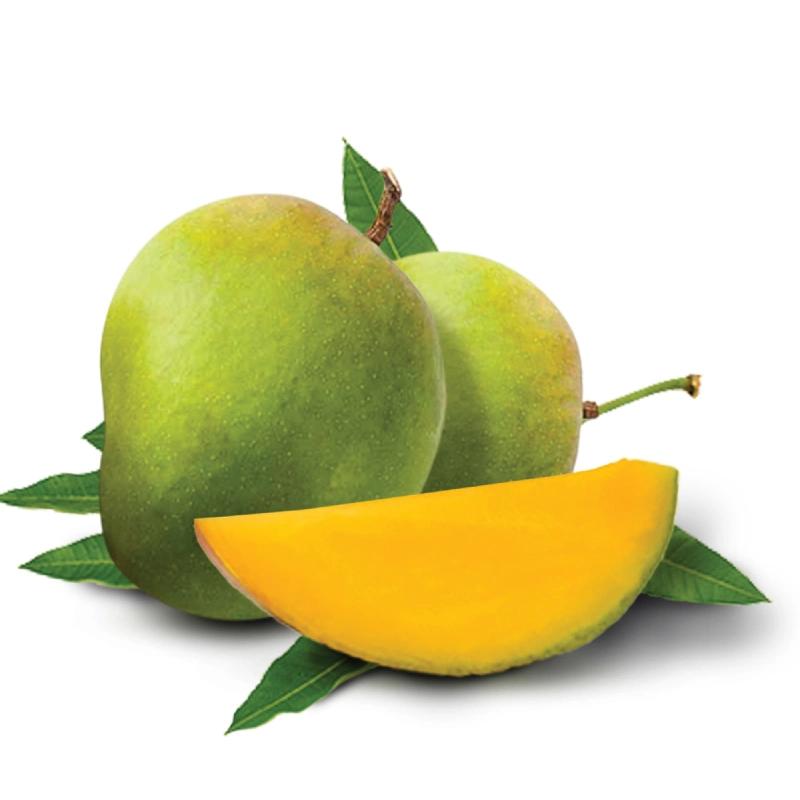 https://images.openai.com/static-rsc-4/zeVhzmD6YFYuPxHzphS5E5x977OHbE9SnUp7kO7TVRmVqKXgr1wsYRmJB35LavHcYVO55PYvqA2G8ckRWtT9PMOXJJA3TsbYHw-0OtOUGS_W7uLh1mNizPuyAqTUBjFlNLqEZz5ZP5PGF7Gx9jVR5GO4bVYQ6xQpyfUhYGeH9v4_v_4N8KH5MNQYwGyFTPB2?purpose=fullsize