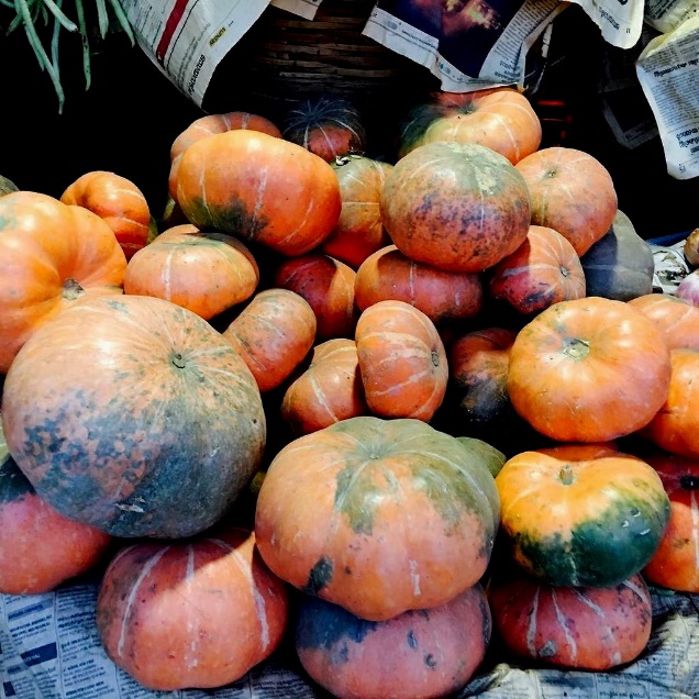 Pumpkin ARKA SURYAMUKHI-Pumpkin Seeds-YUMMY FAMILY FAVOURITE-Min 15 SEEDS | eBay