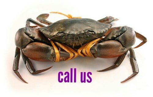 Sea Crab In Kolkata West Bengal At Best Price | Sea Crab Manufacturers Suppliers In Calcutta
