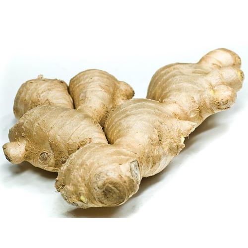 Fresh Raw Ginger Exporter,Fresh Raw Ginger Export Company in Delhi India