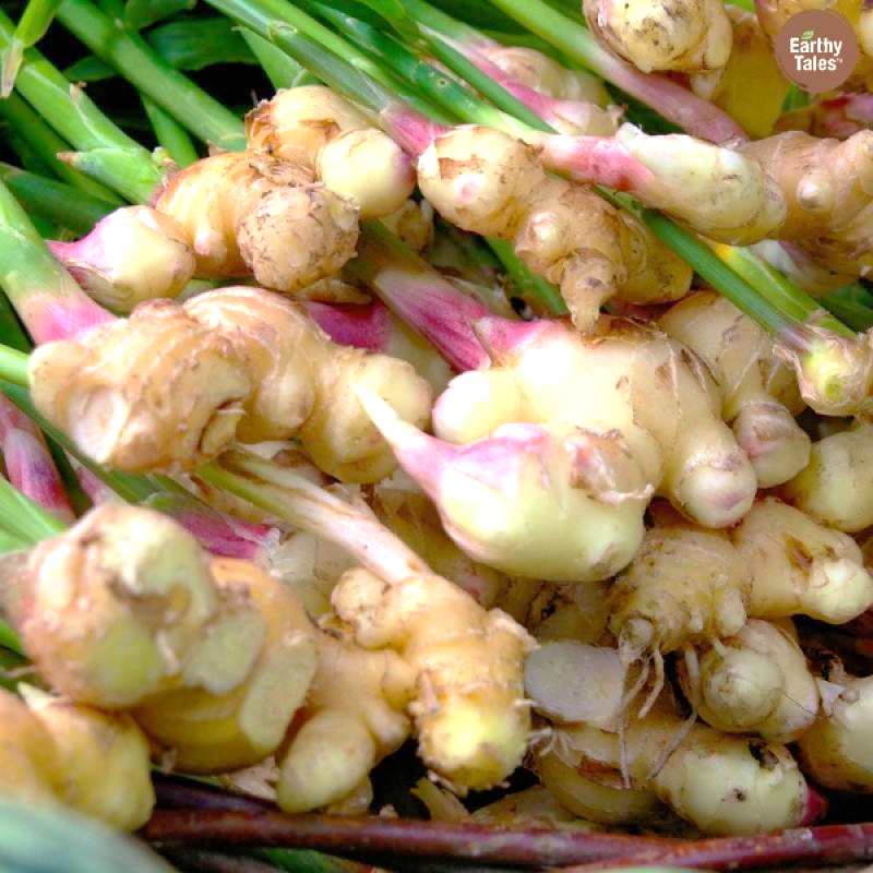 Ginger: Fresh and Organic, a Local Gem by Earthy Tales in Delhi-NCR