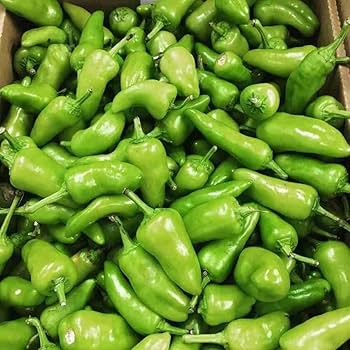Rare Green Bullet Chilli Seeds, Non-GMO, High Germination Rate | Bullet Pepper Seeds | Pack of 101 : Amazon.in: Garden & Outdoors