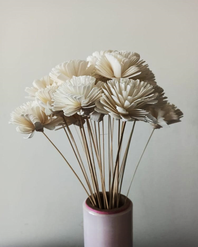 Shola Chandramolika Flowers - Bunch of 25 – Baro Market