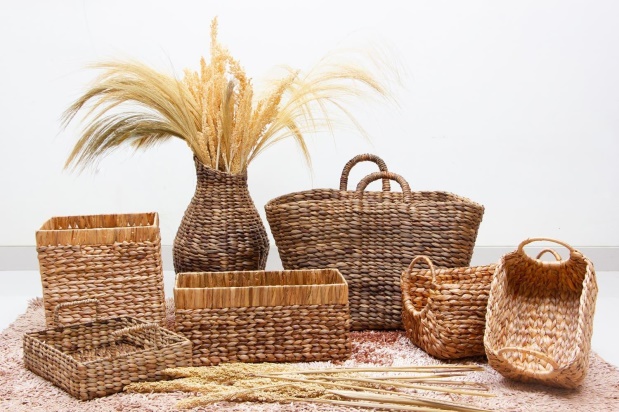 Turning Weeds into Wonders: Assam’s Innovative Water Hyacinth Craft |